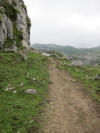 ario_path_2011_clear_006.jpg (149182 bytes)