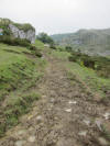 ario_path_2011_clear_009.jpg (158128 bytes)