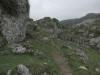 ario_path_2011_clear_014.jpg (111737 bytes)