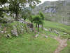 ario_path_2011_clear_016.jpg (212563 bytes)
