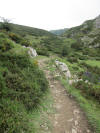 ario_path_2011_clear_021.jpg (171355 bytes)