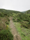 ario_path_2011_clear_022.jpg (143355 bytes)