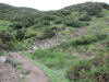 ario_path_2011_clear_023.jpg (196727 bytes)