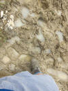 ario_path_2011_clear_023a.jpg (169981 bytes)