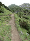 ario_path_2011_clear_024.jpg (196397 bytes)