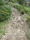 ario_path_2011_clear_026.jpg (220111 bytes)