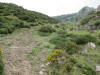 ario_path_2011_clear_027.jpg (182626 bytes)