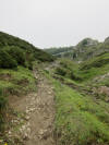 ario_path_2011_clear_028.jpg (144340 bytes)