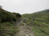 ario_path_2011_clear_030.jpg (121286 bytes)