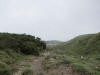 ario_path_2011_clear_031.jpg (76632 bytes)