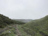 ario_path_2011_clear_032.jpg (66801 bytes)