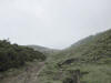 ario_path_2011_clear_033.jpg (66443 bytes)