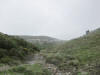 ario_path_2011_clear_034.jpg (73848 bytes)