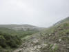 ario_path_2011_clear_035.jpg (79835 bytes)