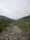 ario_path_2011_clear_036.jpg (82872 bytes)