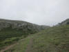 ario_path_2011_clear_039.jpg (76660 bytes)