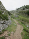 ario_path_2011_clear_043.jpg (163876 bytes)