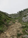 ario_path_2011_clear_044.jpg (139340 bytes)