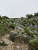 ario_path_2011_clear_047.jpg (138942 bytes)