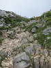 ario_path_2011_clear_049.jpg (171285 bytes)