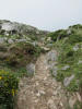 ario_path_2011_clear_050.jpg (166146 bytes)
