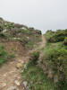 ario_path_2011_clear_051.jpg (160191 bytes)