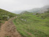 ario_path_2011_clear_058.jpg (130629 bytes)
