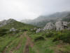 ario_path_2011_clear_060.jpg (115270 bytes)