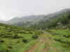 ario_path_2011_clear_062.jpg (115114 bytes)