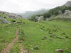 ario_path_2011_clear_073.jpg (150679 bytes)