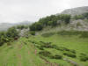 ario_path_2011_clear_074.jpg (132325 bytes)