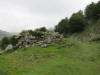 ario_path_2011_clear_075.jpg (126825 bytes)