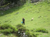ario_path_2011_clear_076a.jpg (190023 bytes)