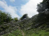 ario_path_2011_clear_078.jpg (136206 bytes)