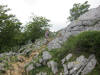 ario_path_2011_clear_085.jpg (167962 bytes)