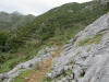 ario_path_2011_clear_087.jpg (174348 bytes)