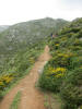 ario_path_2011_clear_090.jpg (171267 bytes)