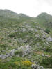ario_path_2011_clear_093.jpg (166492 bytes)