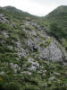 ario_path_2011_clear_095.jpg (163807 bytes)