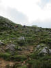 ario_path_2011_clear_099.jpg (122906 bytes)