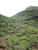 ario_path_2011_clear_105.jpg (155591 bytes)