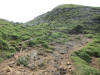 ario_path_2011_clear_106.jpg (183702 bytes)