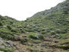 ario_path_2011_clear_109.jpg (161130 bytes)