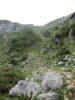 ario_path_2011_clear_116.jpg (156709 bytes)