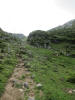 ario_path_2011_clear_118.jpg (138112 bytes)