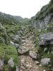 ario_path_2011_clear_119.jpg (176777 bytes)