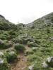 ario_path_2011_clear_125.jpg (161703 bytes)
