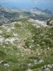 ario_path_2011_clear_129a.jpg (185866 bytes)