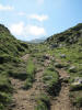 ario_path_2011_clear_138.jpg (169675 bytes)