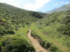 ario_path_2011_clear_146.jpg (205006 bytes)